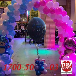 שער בלונים בן או בת